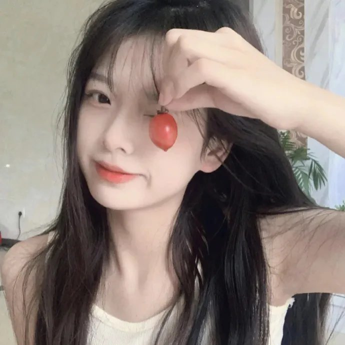 哈吉布基的森林冒险